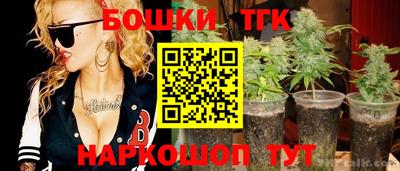 индика Гусь-Хрустальный