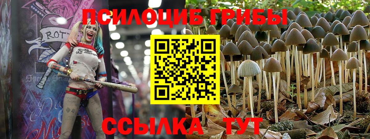Галлюциногенные грибы мицелий  магазин продажи   Новоалтайск  Вход с VPN 